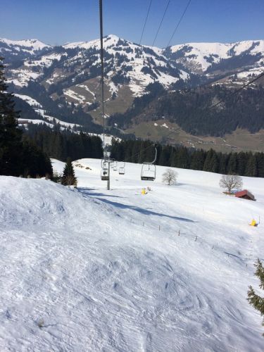 Zweisimmen, 14.3.2014
