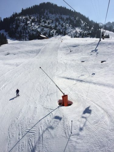 Zweisimmen, 14.3.2014
