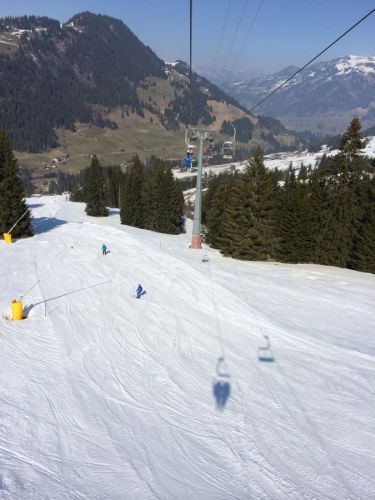 Zweisimmen, 14.3.2014

