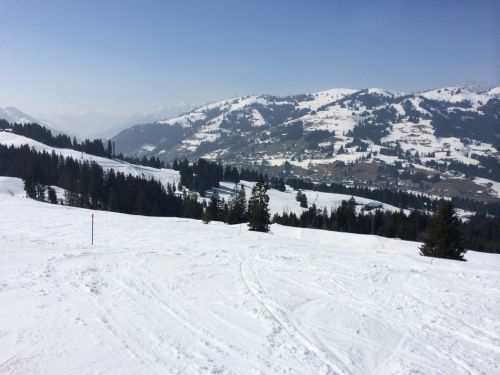 Zweisimmen, 14.3.2014
