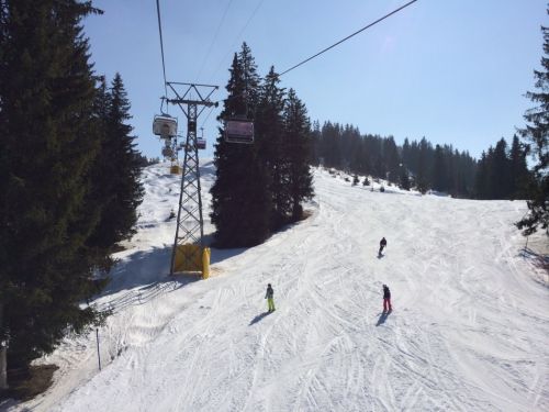 Zweisimmen, 14.3.2014
