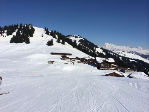 Zweisimmen, 14.3.2014
