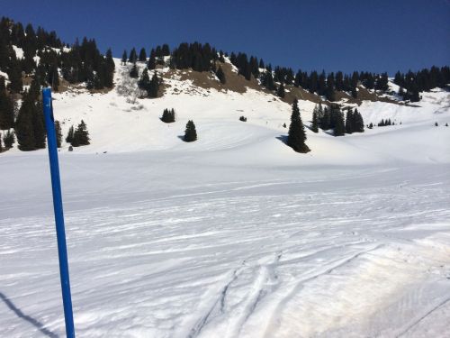 Zweisimmen, 14.3.2014
