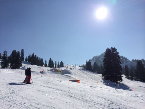 Zweisimmen, 14.3.2014

