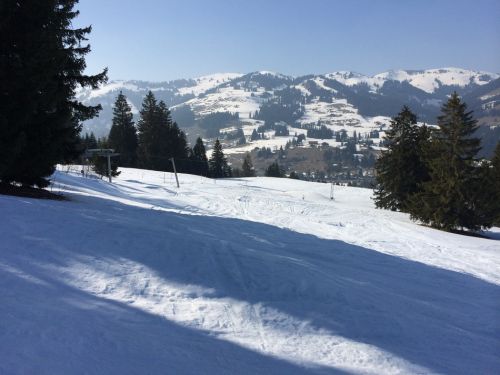 Zweisimmen, 14.3.2014
