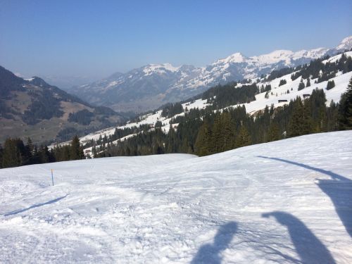 Zweisimmen, 14.3.2014
