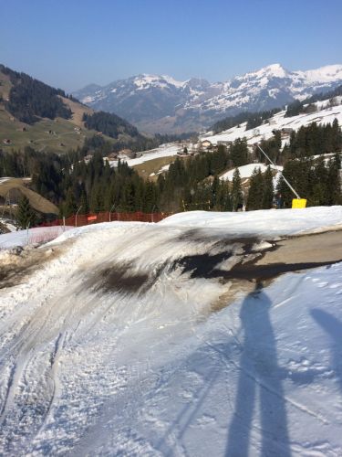 Zweisimmen, 14.3.2014
