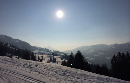 Zweisimmen, 14.3.2014
