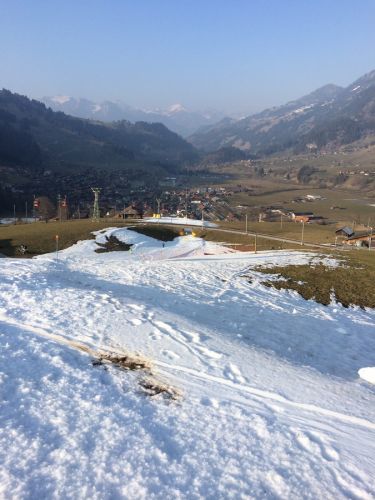 Zweisimmen, 14.3.2014
