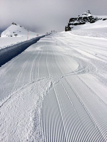 Ich war erst der Zweite, der hier runter fuhr heute - himmlisch!
