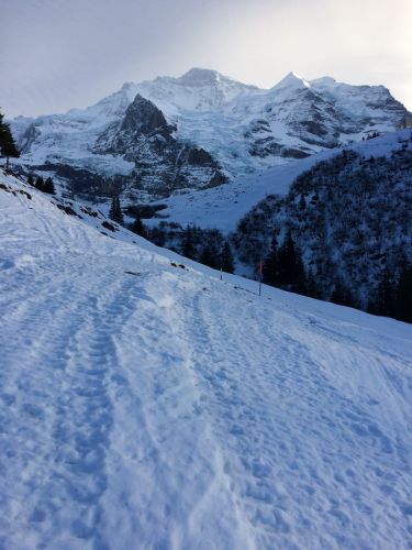 Wengen, 10. Januar 2015
