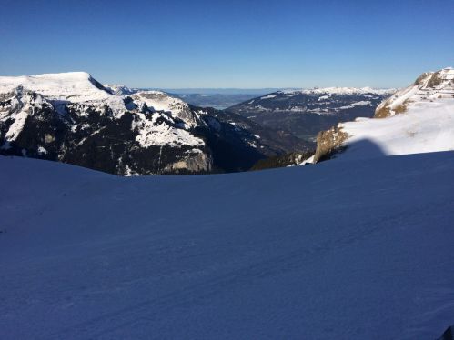 13. Januar 2015
