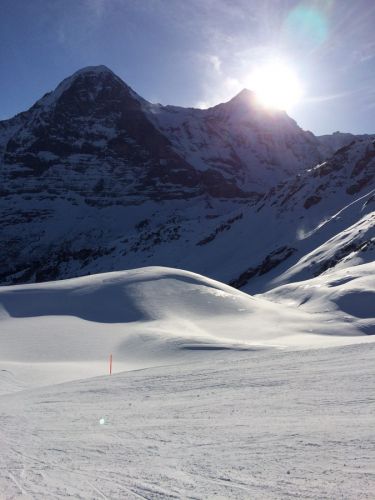 13. Januar 2015
