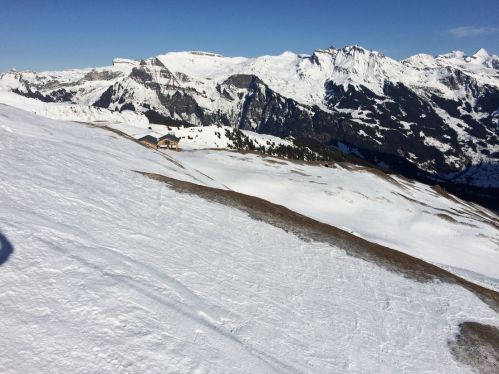 13. Januar 2015
