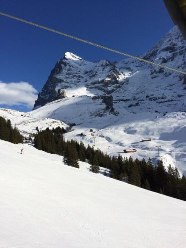 13. Januar 2015
