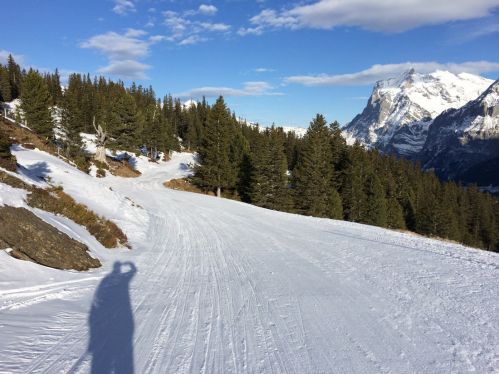 13. Januar 2015
