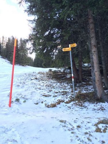 13. Januar 2015

