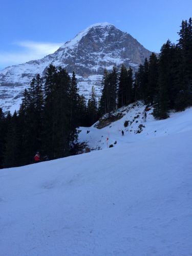 13. Januar 2015
