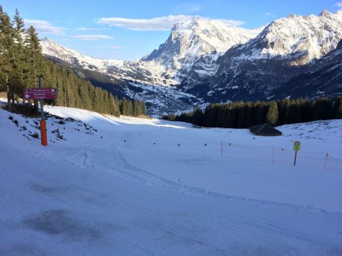 13. Januar 2015
