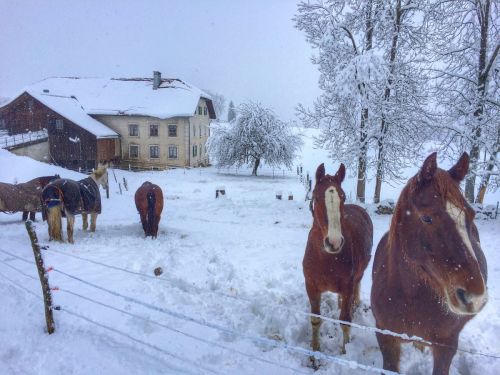 La Chaux d'Abel, 17. Januar 2015
