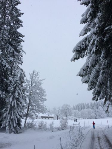 La Chaux d'Abel, 17. Januar 2015
