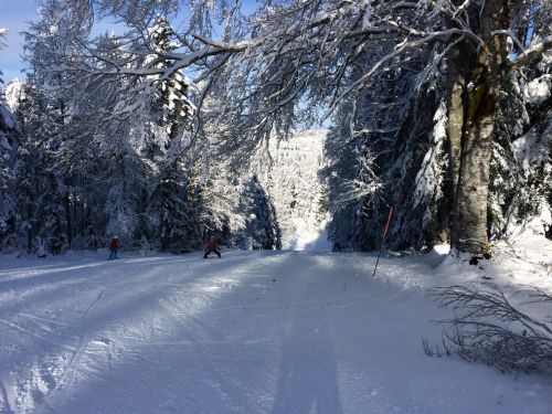 Les Breuleux, 18. Januar 2015
