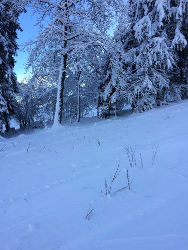 Les Breuleux, 18. Januar 2015
