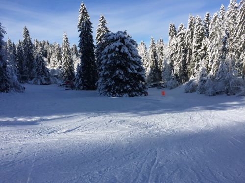 Les Breuleux, 18. Januar 2015

