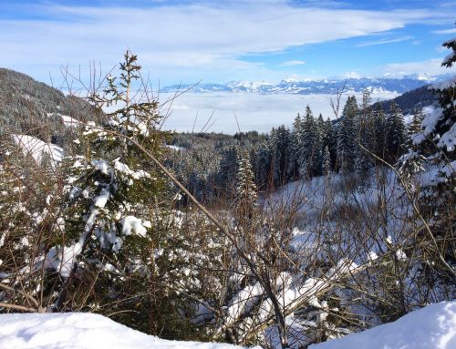 Gurnigel, 21. Januar 2015
