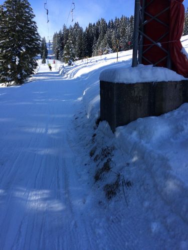Gurnigel, 21. Januar 2015
