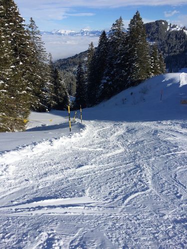 Gurnigel, 21. Januar 2015
