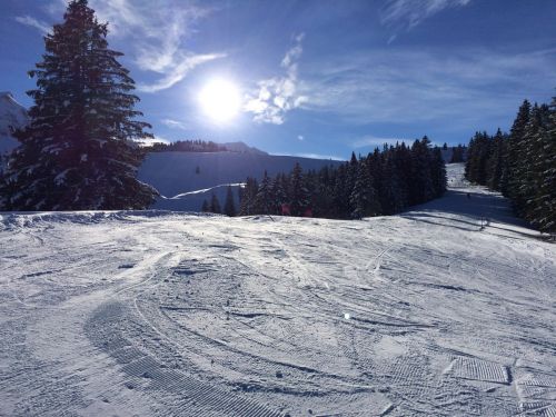 Gurnigel, 21. Januar 2015
