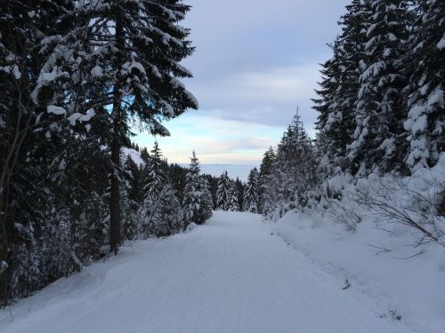 Gurnigel, 21. Januar 2015
