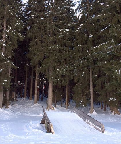 Bumbach, 22. Januar 2015

