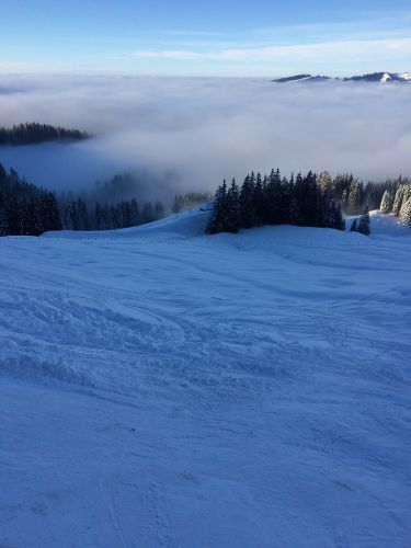 Bumbach, 22. Januar 2015

