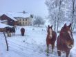20150117-chaux-abel-4967.jpg