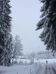 20150117-chaux-abel-4969.jpg