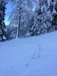 20150118-b-breuleux-5081.jpg