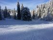20150118-b-breuleux-5083.jpg