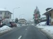 20150120-b-linden-5221.jpg