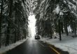 20150120-c-chuderhuesi-5332.jpg