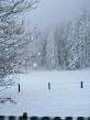 20150120-d-linden-5358.jpg
