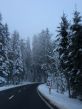 20150121-a-gurnigel-5463.jpg