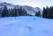 20150122-b-bumbach-5522.jpg