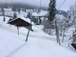 20150122-b-bumbach-5612.jpg