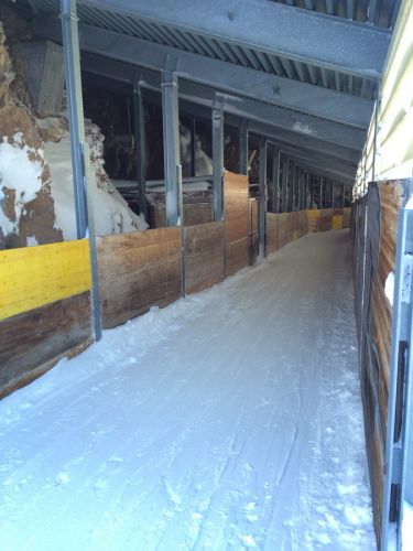 Lenzerheide, 26. Januar 2015

