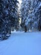 20150126-lenzerheide-5814.jpg