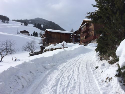 Surrein, 9. Februar 2015
