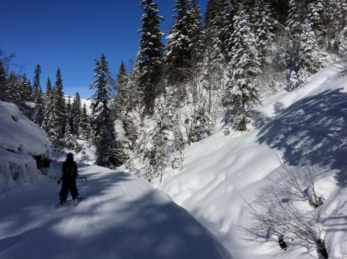 16. Februar 2015
