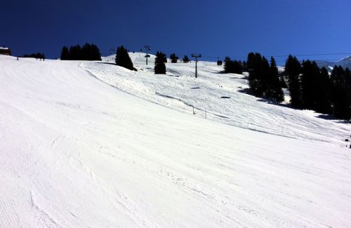 Lenk, 13.3.2015
